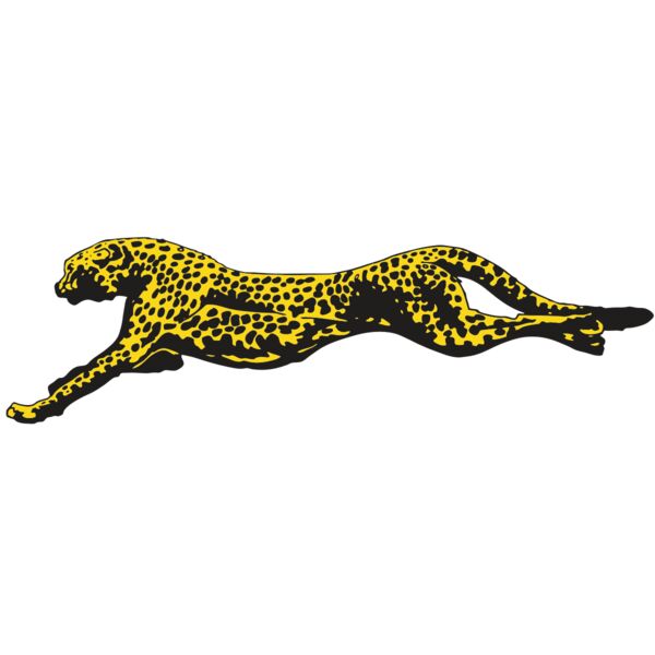 AR CHEETAH 12 RC Thumbnail
